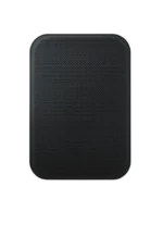 Bluesound Professional BSP200 – Compact PoE+ Network Streaming Speaker for Commercial Installations