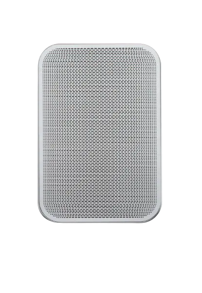 Bluesound Professional BSP200 – Compact PoE+ Network Streaming Speaker for Commercial Installations