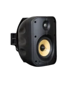 Bluesound Professional BSP500 – 5.25" Network Streaming Speaker with PoE+