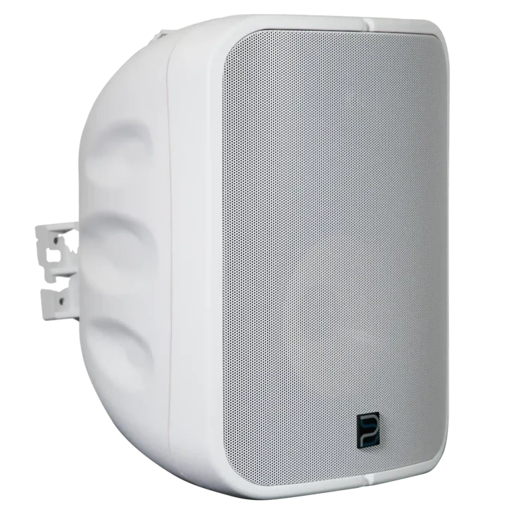 Bluesound Professional BSP1000 PoE+ Network Streaming Speaker for Commercial Installations