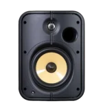 Bluesound Professional BSP1000 PoE+ Network Streaming Speaker for Commercial Installations