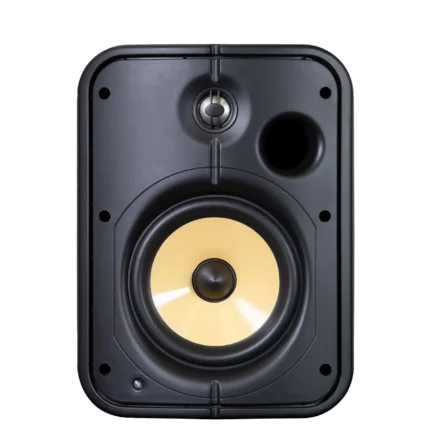 Bluesound Professional BSP1000 PoE+ Network Streaming Speaker for Commercial Installations