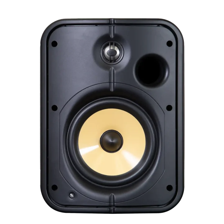 Bluesound Professional BSP1000 PoE+ Network Streaming Speaker for Commercial Installations