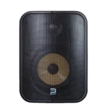 Bluesound Professional BSP1000 PoE+ Network Streaming Speaker for Commercial Installations