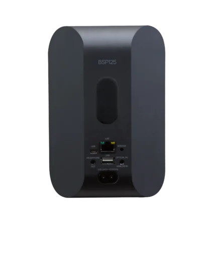 Bluesound Professional BSP125 – Compact Network Streaming Speaker for Commercial Installations