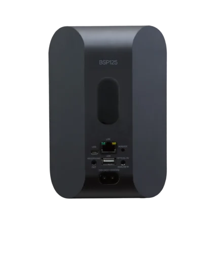 Bluesound Professional BSP125 – Compact Network Streaming Speaker for Commercial Installations