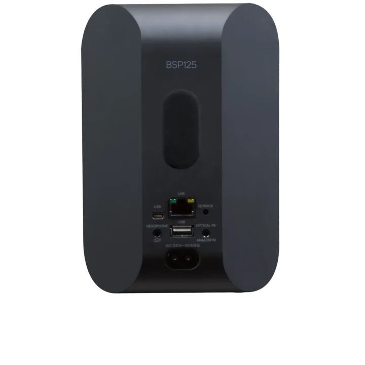 Bluesound Professional BSP125 – Compact Network Streaming Speaker for Commercial Installations