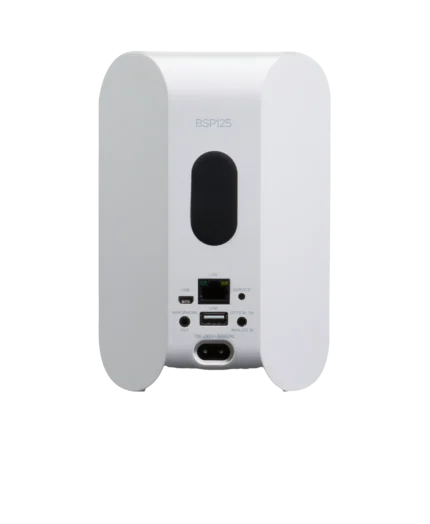 Bluesound Professional BSP125 – Compact Network Streaming Speaker for Commercial Installations