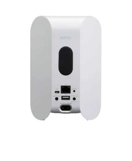 Bluesound Professional BSP125 – Compact Network Streaming Speaker for Commercial Installations