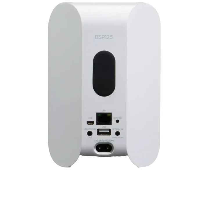 Bluesound Professional BSP125 – Compact Network Streaming Speaker for Commercial Installations