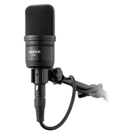 AUD large diaphragm studio condenser microphone showing capsule and internal components detail view