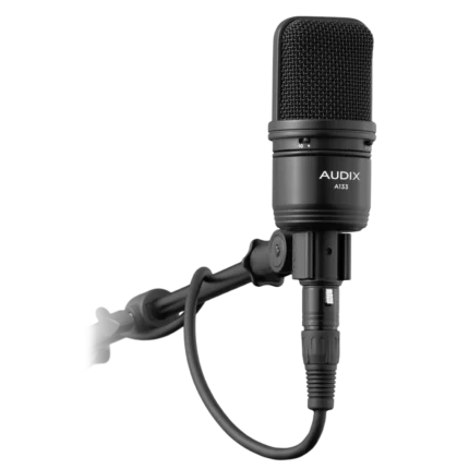 AUD large diaphragm condenser microphone showing pad and roll-off filter controls detail