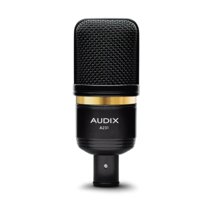 AUD large diaphragm condenser microphone shown from side angle displaying capsule and body profile