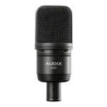 AUD large diaphragm studio condenser microphone showing side profile with pad and roll-off controls