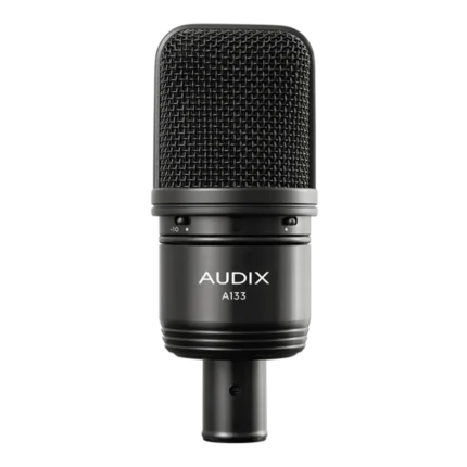 AUD large diaphragm studio condenser microphone showing side profile with pad and roll-off controls