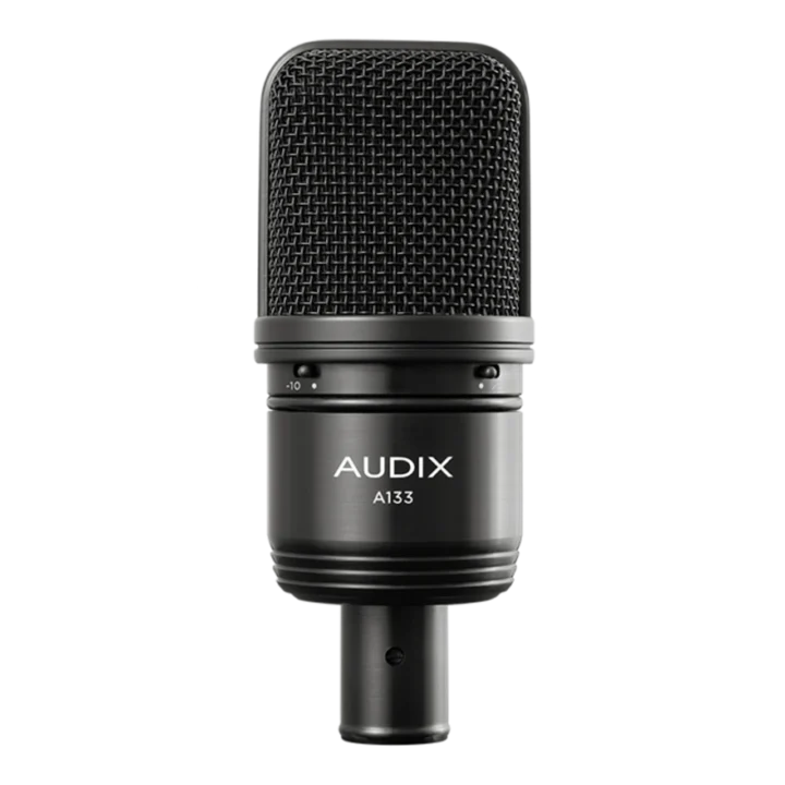 AUD large diaphragm studio condenser microphone showing side profile with pad and roll-off controls