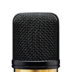 AUD large diaphragm condenser microphone mounted on studio vocal recording setup with pop filter