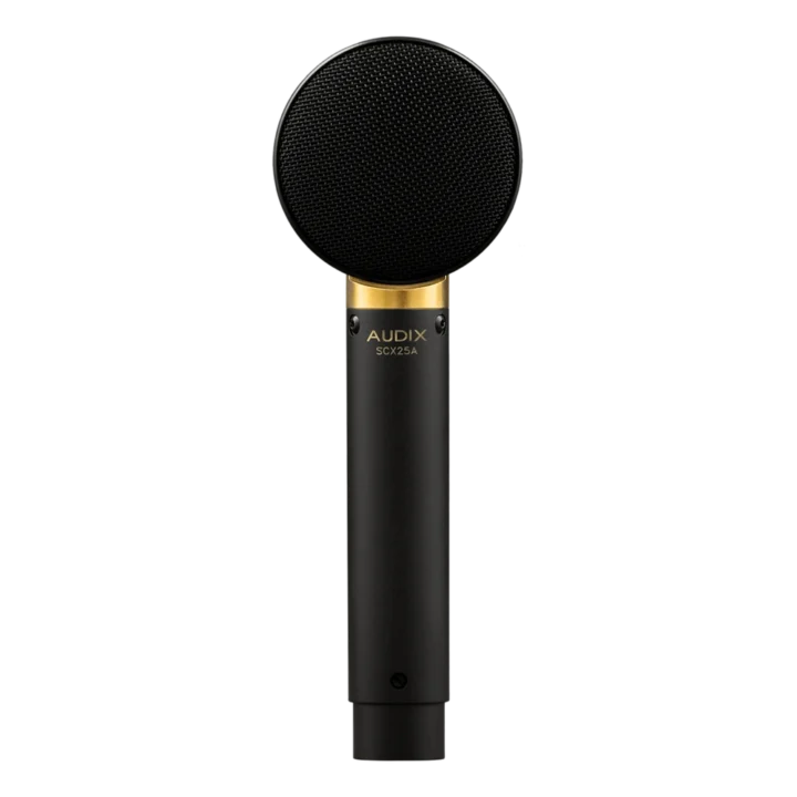 AUD premium large diaphragm studio condenser microphone shown from side profile angle