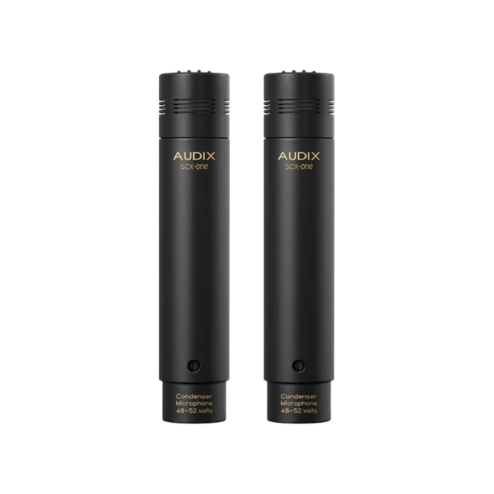 AUD professional studio cardioid condenser microphone shown from side angle with capsule and body visible