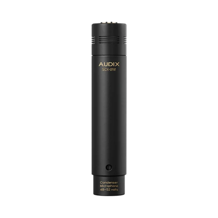 AUD professional studio cardioid condenser microphone shown from side angle with capsule and body visible