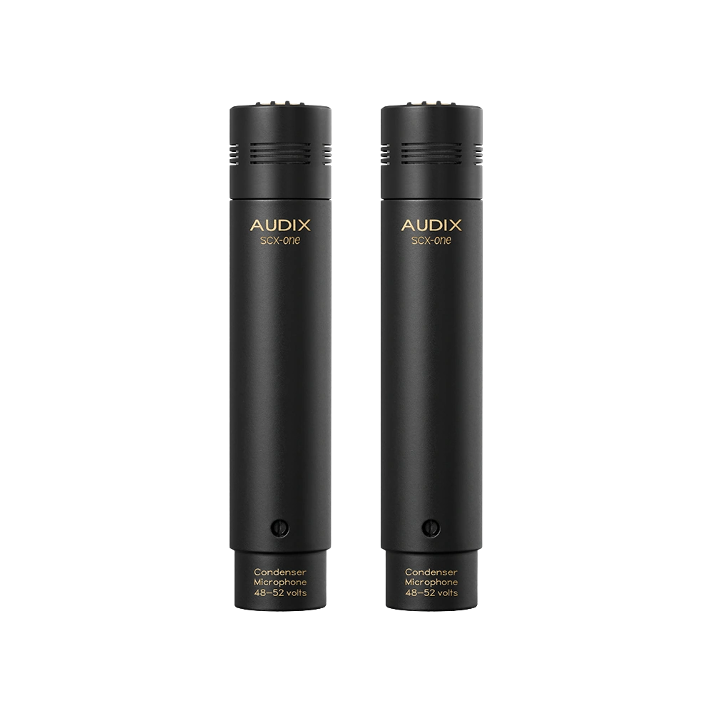 AUD Professional Studio Cardioid Condenser Microphone Side View AUD professional studio cardioid condenser microphone shown from side angle with capsule and body visible