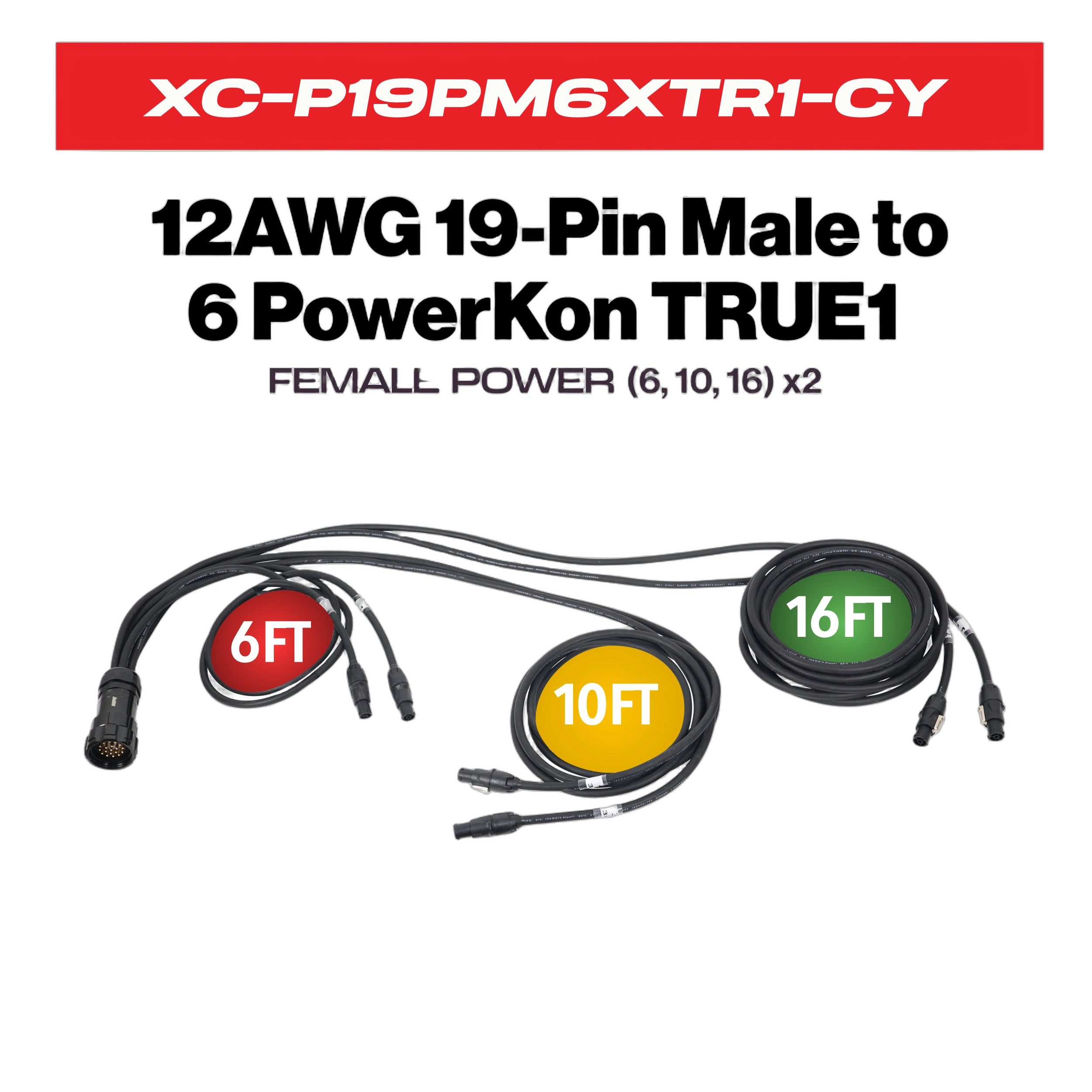ProX 19-Pin Power Distro Cable Kupo to True1 Front View ProX 19-pin power distribution cable with Kupo connector and six True1 outputs, 12AWG SJOOW construction