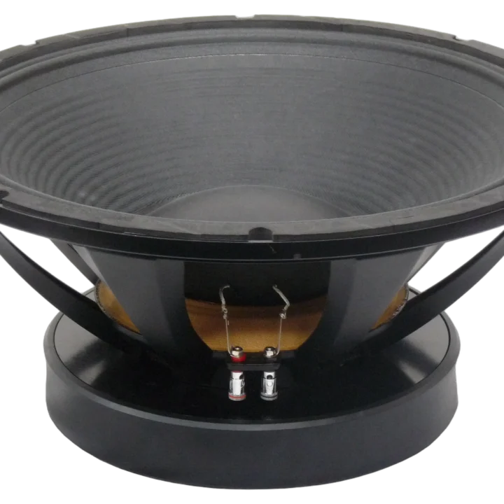 Sound Barrier DRAGON 18 inch low frequency woofer with 5 inch voice coil detail view