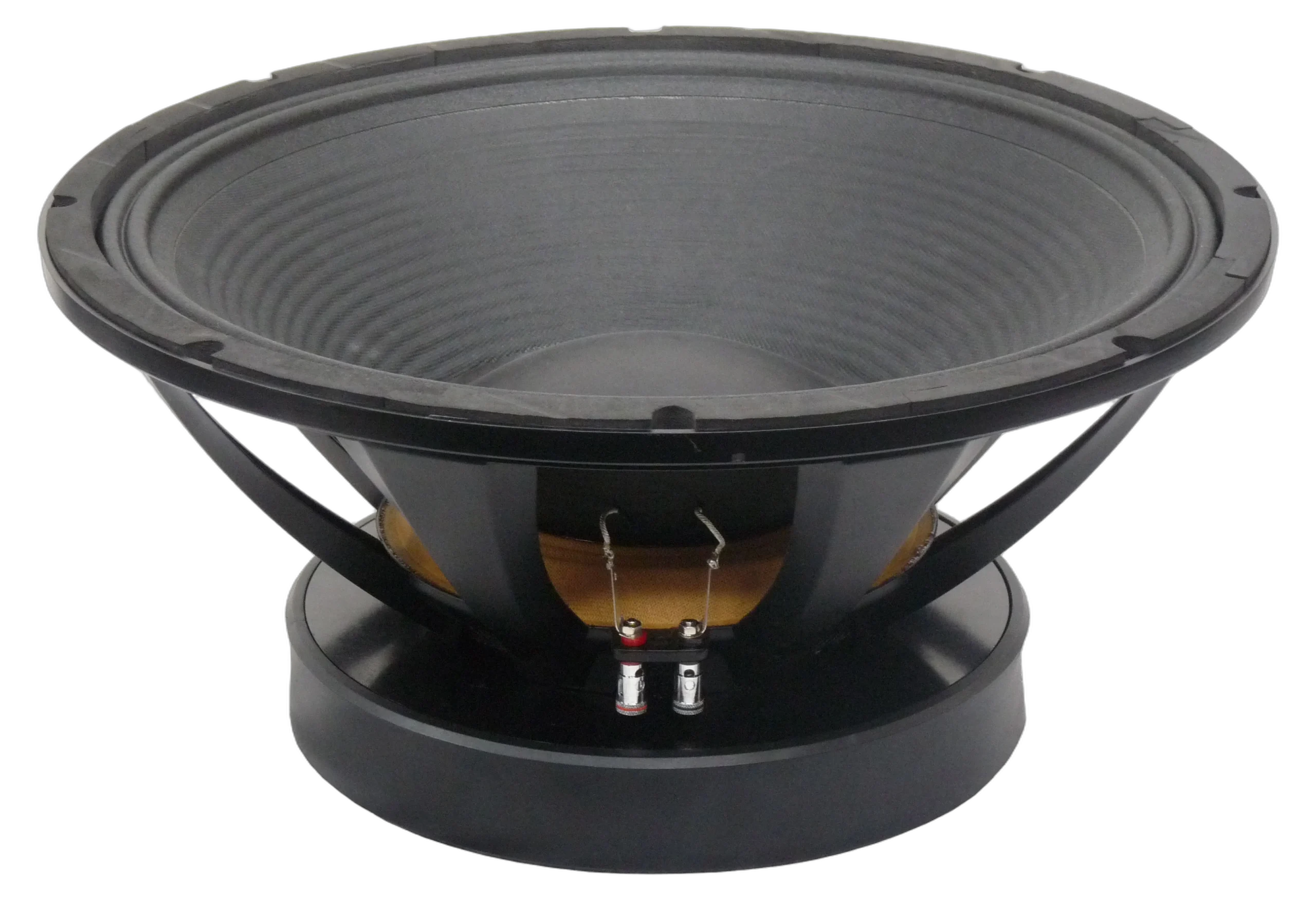 Sound Barrier DRAGON 18 Inch Woofer Voice Coil Detail Sound Barrier DRAGON 18 inch low frequency woofer with 5 inch voice coil detail view