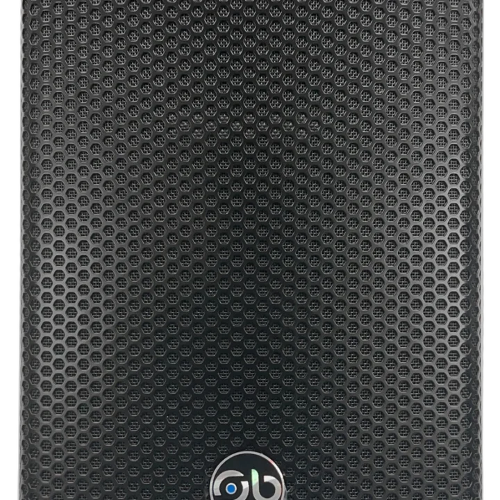 Sound Barrier LY10P 10-inch passive two-way full range loudspeaker with 600W power handling, front view
