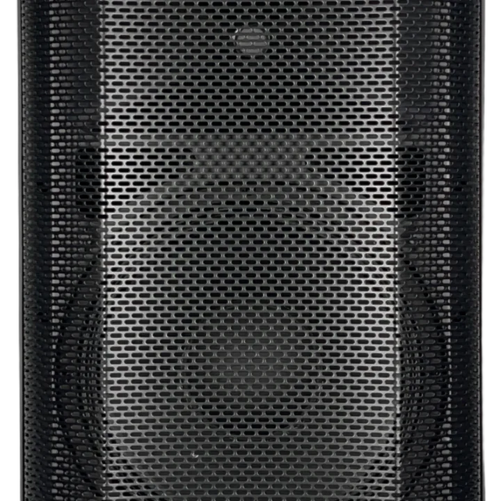Sound Barrier OMNI12P 12-inch passive two-way loudspeaker with 1200W power handling, front angle view