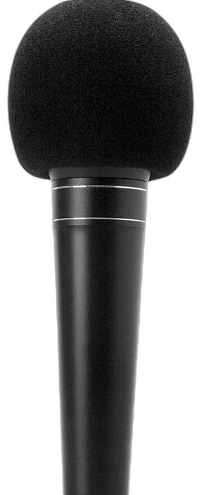 Hosa MWS-225 black microphone windscreen showing foam construction and acoustic design